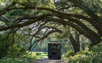 Romantic Charleston, South Carolina. 7 (Smoochy) things to do