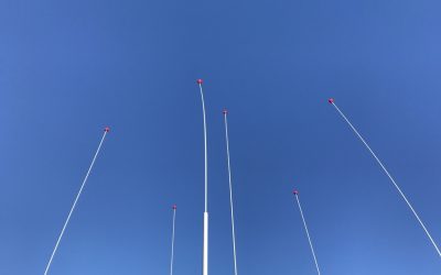 Living with Hormones. Surviving on Hormoans.