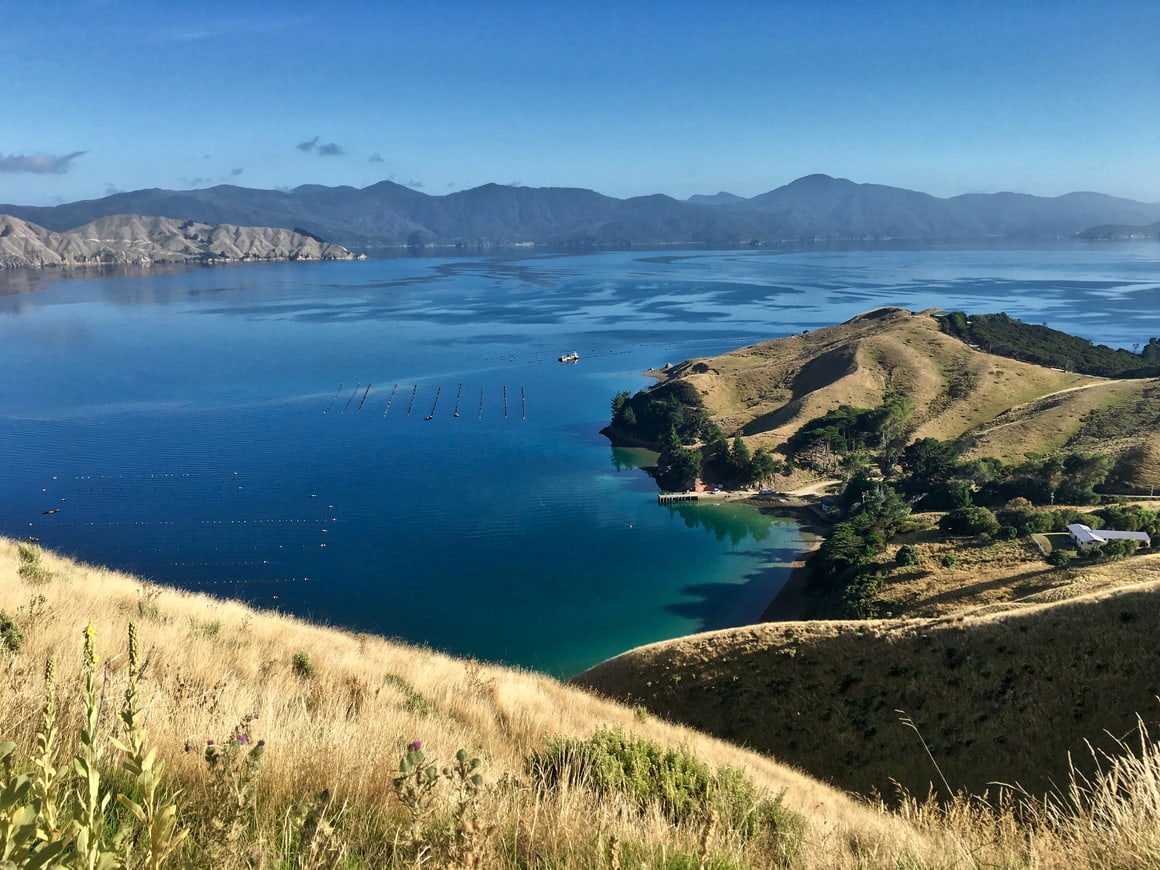 A travel blog about living the dream In new Zealand