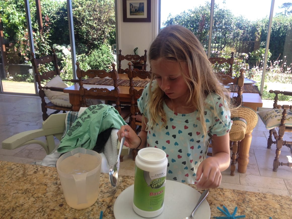 A science project for a homeschool girl