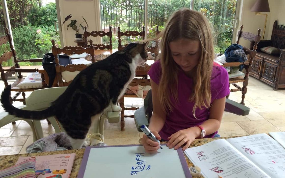 Homeschooling and Working Full Time. Is it Possible?