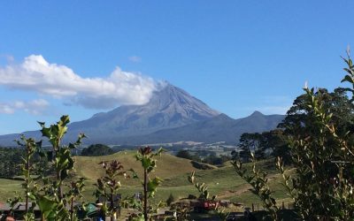 20 New Zealand Travel Tips (that may surprise you). Ey.