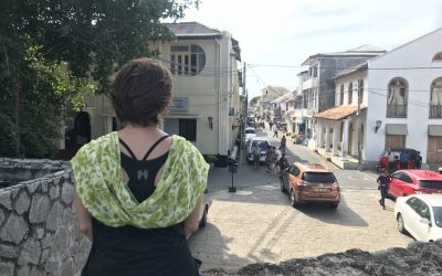 The Bog Diary #2. Sri Lanka Travel Blog.