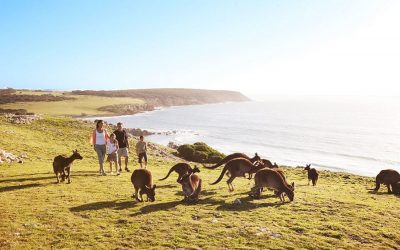 Australia. Why You Should Consider a Family Holiday Down Under.