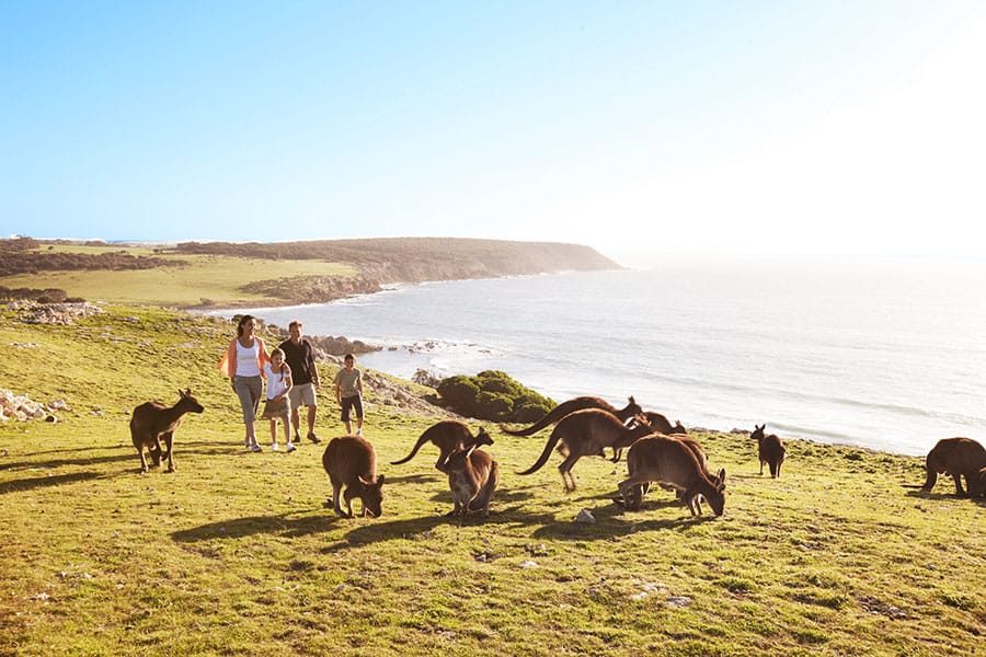 Australia. Why You Should Consider a Family Holiday Down Under.