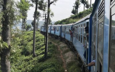 Best Train Journey in Sri Lanka? The Epic Kandy to Ella Trip.