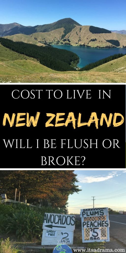 Cost to live in New Zealand Pinterest