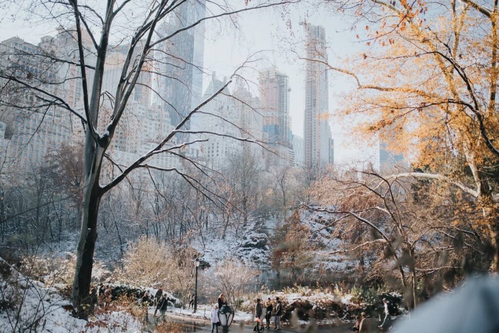 Central Park at Christmas time