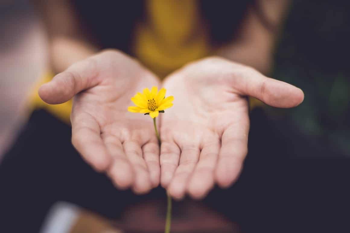 Woman holding a single flower out as a way of apologising