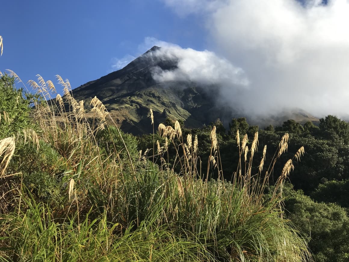 mountain in New Zealand in summer