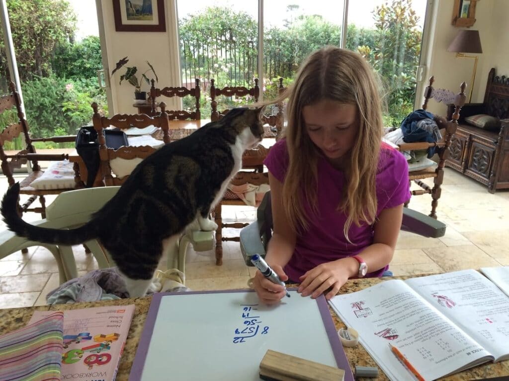 Girl homeschooling with her cat