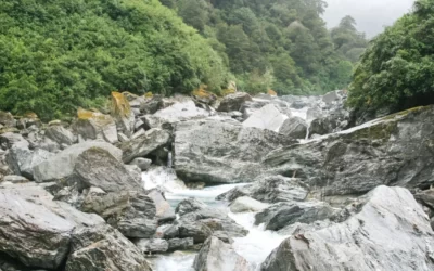 New Zealand Hiking. When Calm Turns To Crisis.