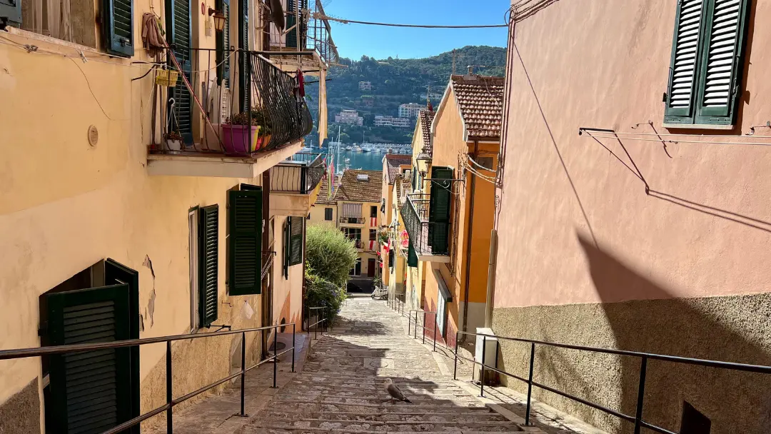 Italian Men, Pigs and Pigeons…