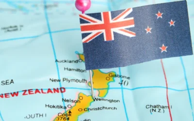 Using an Immigration Advisor. The Pros & Cons.
