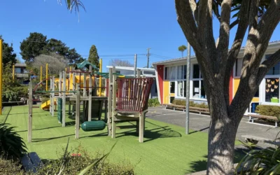Becoming a TEACHER in New Zealand. The Hoops & The Loops.