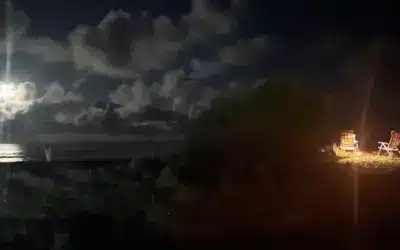 Unexpected Respite
