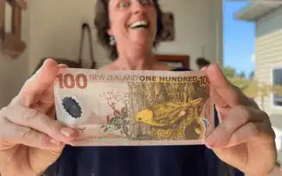 $99 NZD birthday getaway (cheap,YES but wozzit cheerful??)