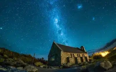 Housesitting in New Zealand (Once tried you’ll never look back!)
