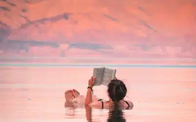 5 Brilliantly Funny Books For Your Women’s Book Clubs