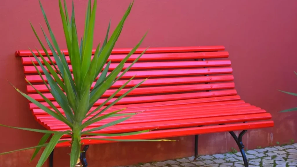 Red bench in Venice