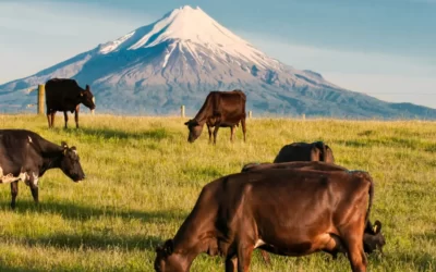 The best place in New Zealand to visit? (Shhh…keep it to yourself)