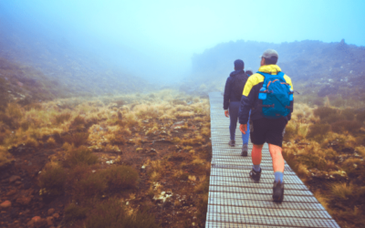 Is New Zealand NEGLECTING These 7 (Essential) Life Skills?