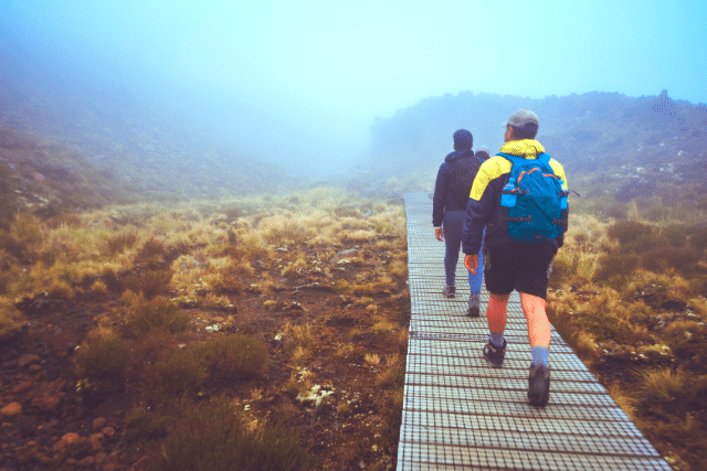 People walking in New Zealand 