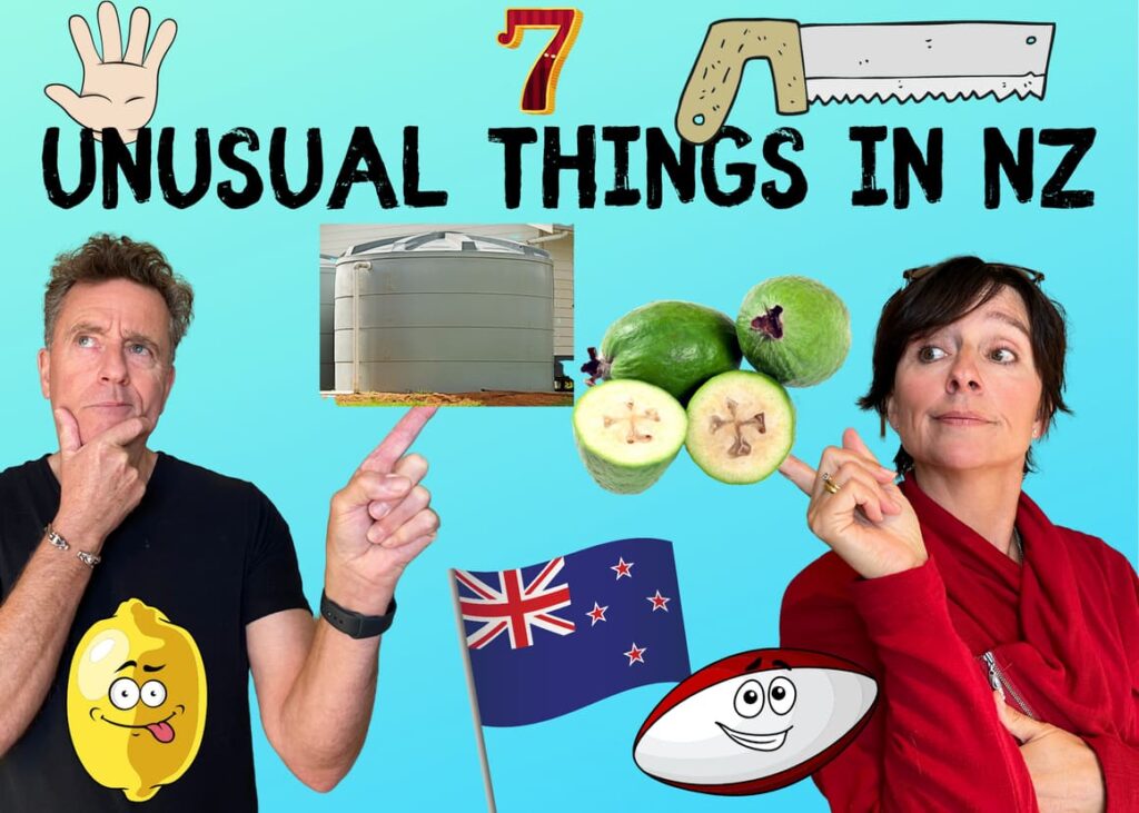 Unusual things in New Zealand 