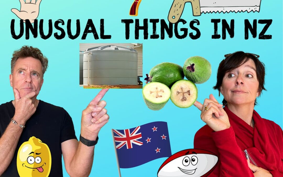 Really?? 7 Weird Things About New Zealand