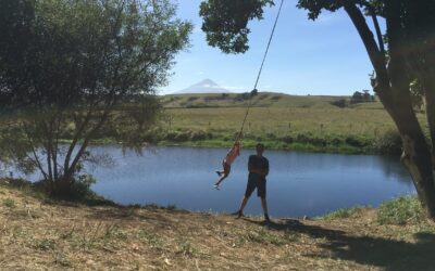 Raising Your Kids In New Zealand