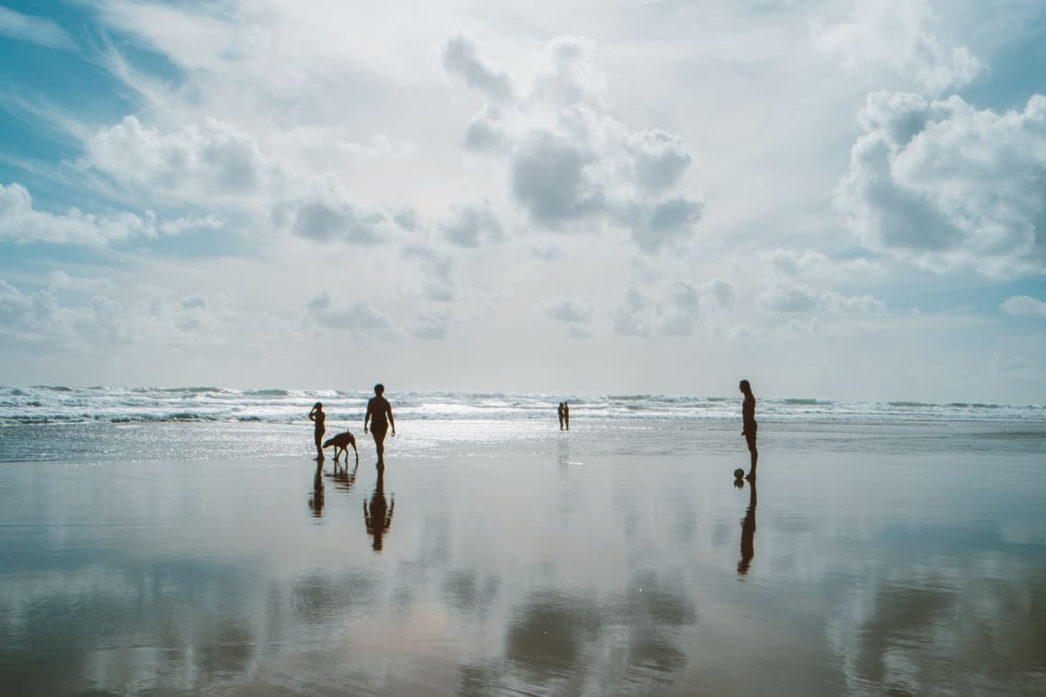 Dogs in New Zealand. Everything you need to know! Dogs on the beach in New Zealand