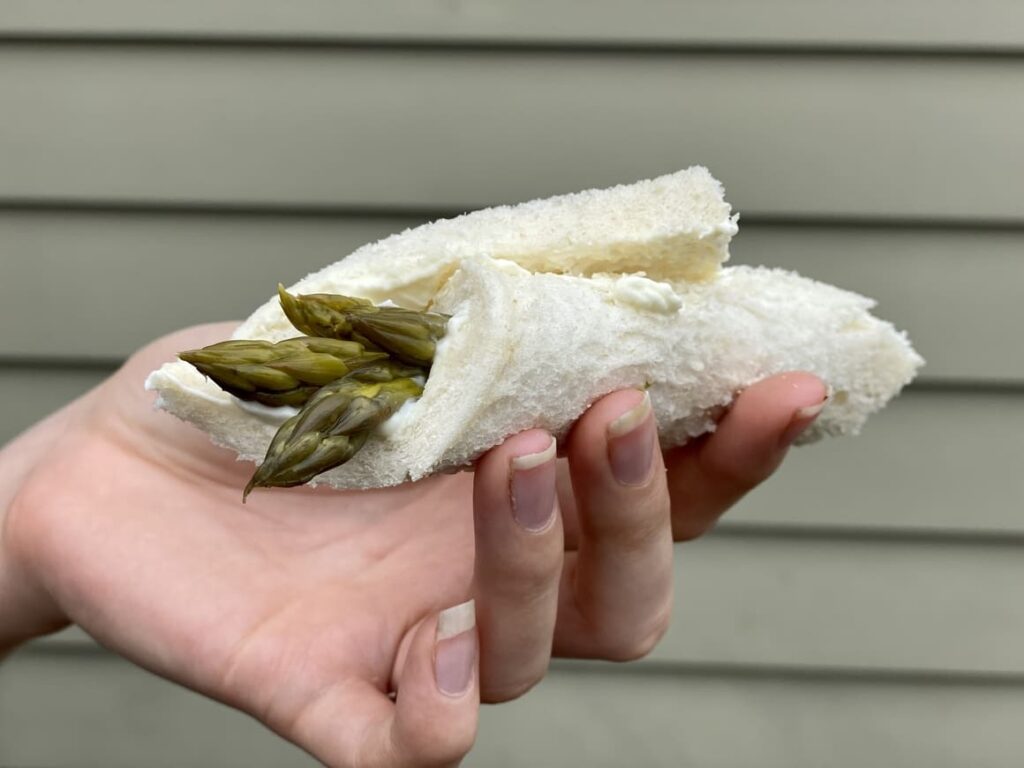 Asparagus sandwich. Food in New Zealand