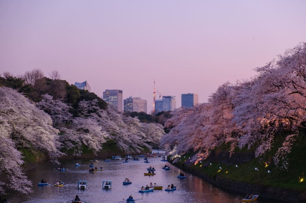 People rowing boats at sunset in Tokyo, Japan