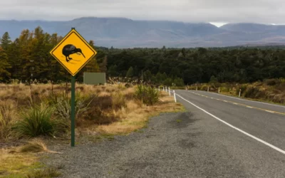 You Know You’re A Kiwi When…7 Unmistakable Habits of NZers
