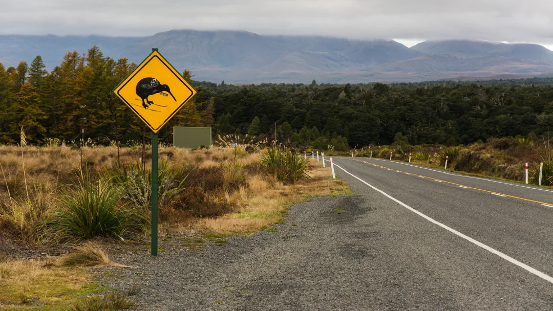 You Know You’re A Kiwi When…7 Unmistakable Habits of NZers