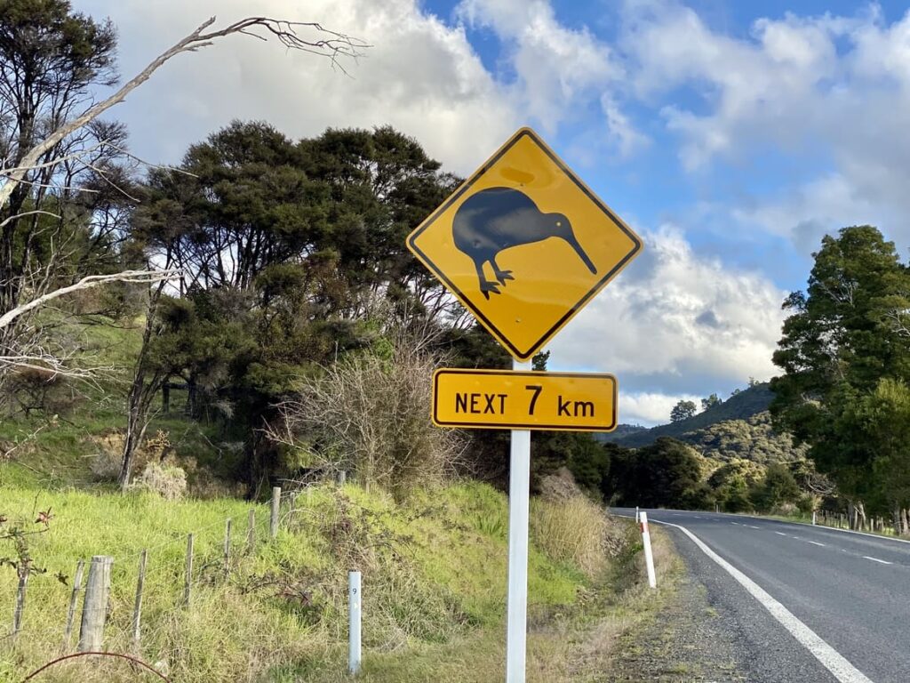 Road sign of a kiwi bird