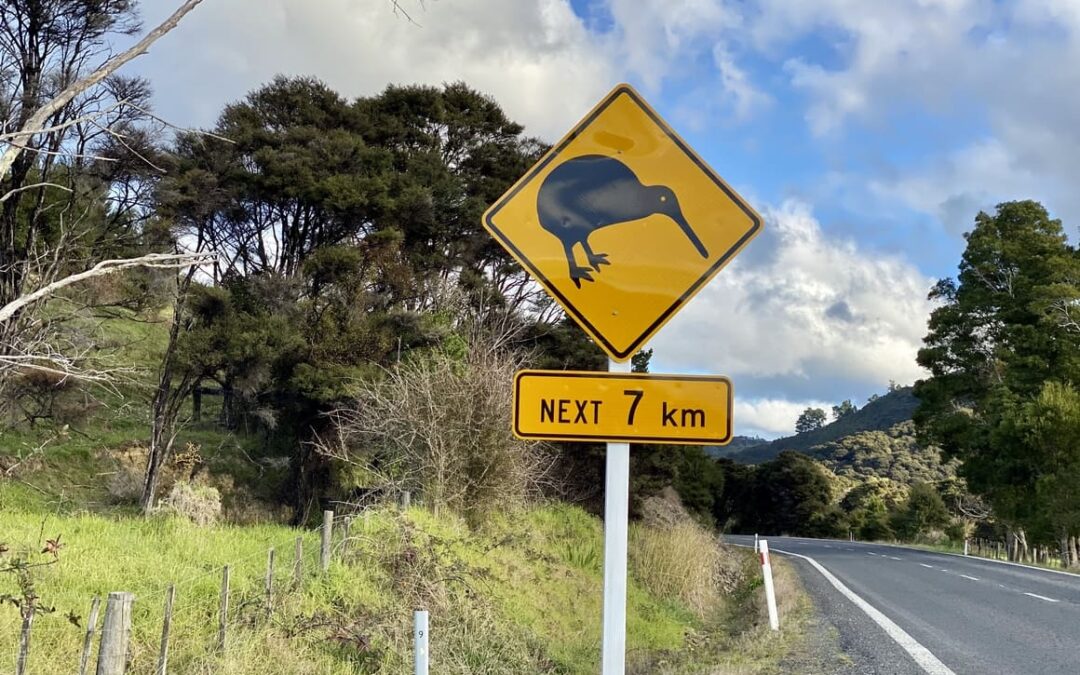 7 Ludicrous Misconceptions About New Zealand
