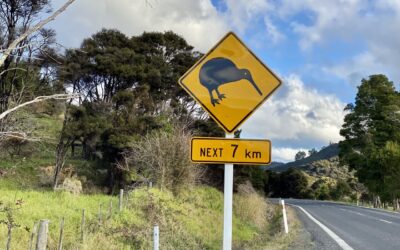 7 Ludicrous Misconceptions About New Zealand