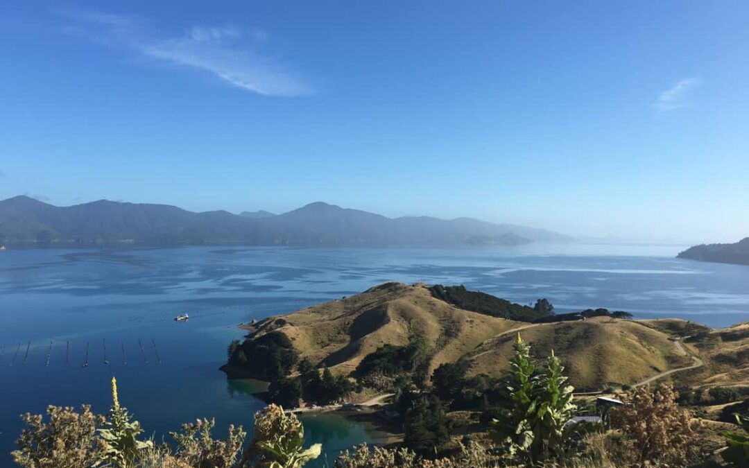 Where to Live in NZ. North Island or South?