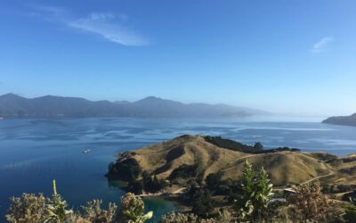 Where to Live in NZ. North Island or South?