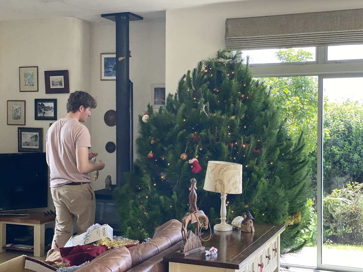 Boy trimming up a Christmas tree in  New Zealand